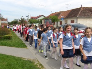 IMGP0908